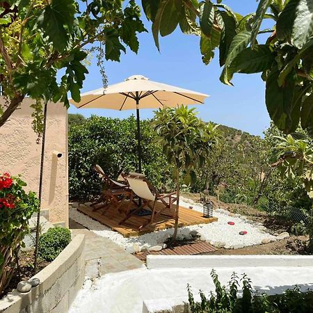 Ferienwohnung The Garden House, Sitia Exterior foto